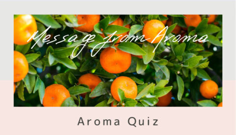 アロマテラピー検定（柑橘精油）クイズ形式問題集